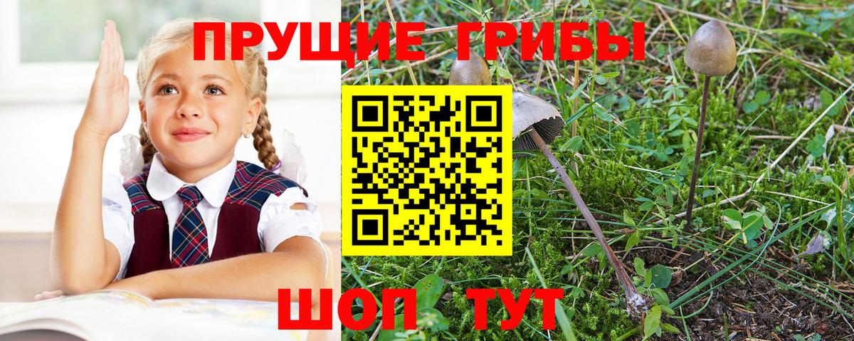 Галлюциногенные грибы мицелий Рыбинск