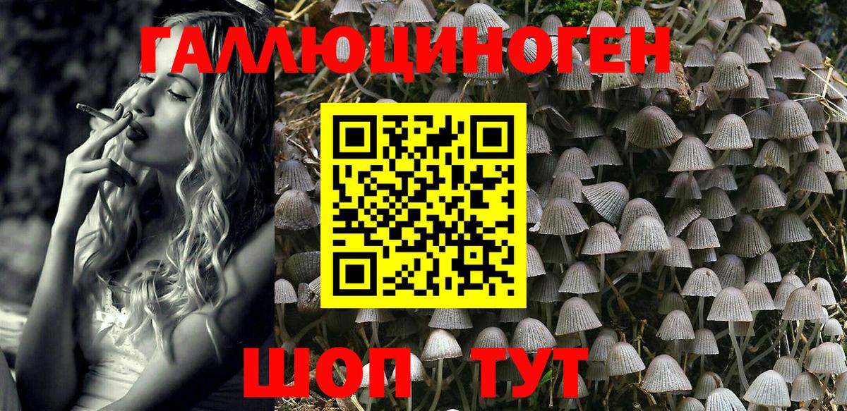 Рыбинск  Псилоцибиновые грибы MAGIC MUSHROOMS  Псилоцибиновые грибы Magic Shrooms  Вход с VPN 